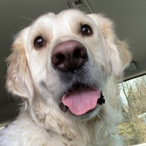 Meet your Posher, Bryan